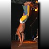 Capoeira