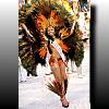 Brasilshows / Sambashows